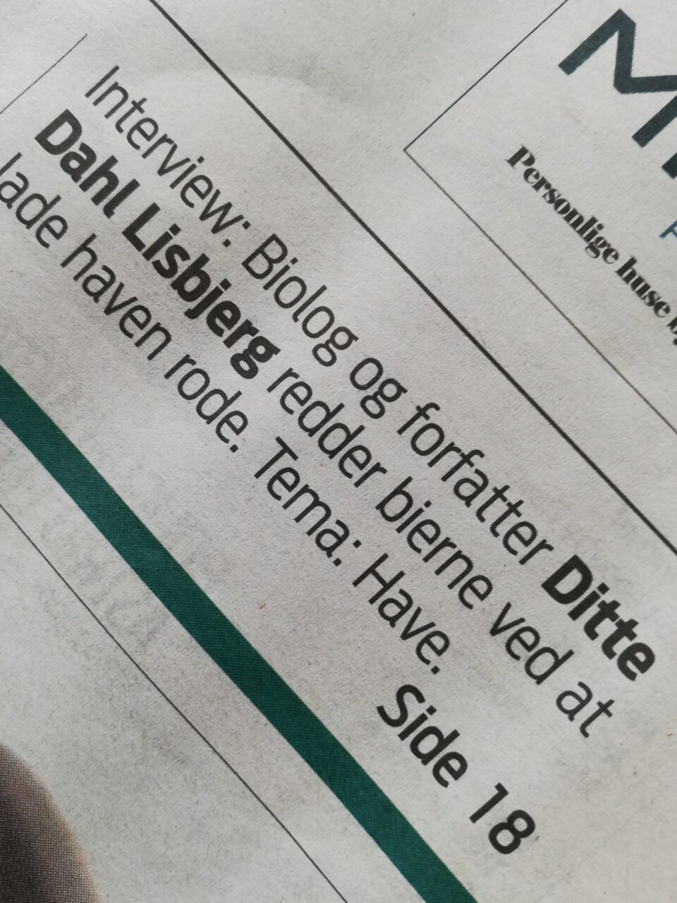 Avis overskrift: Ditte redder bierne